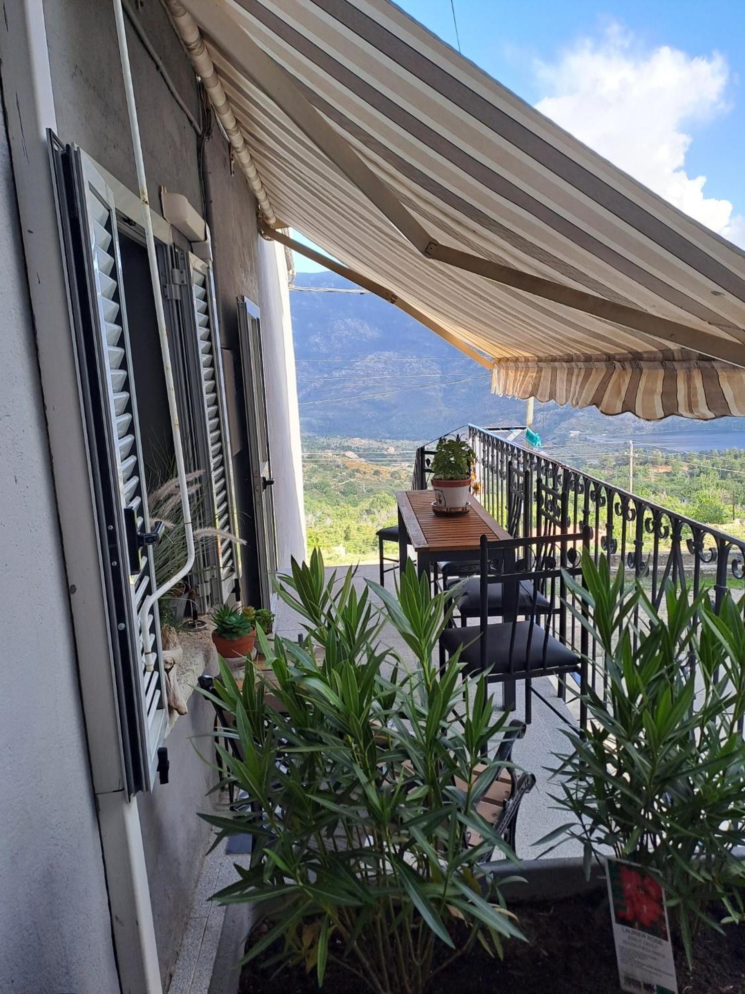 Location En Corse Au Pied Du Monte Cintu Appartement *